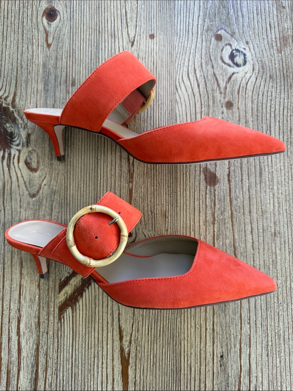 Ann Taylor Orange Suede Pointed-Toe Mules with Gold Buckle